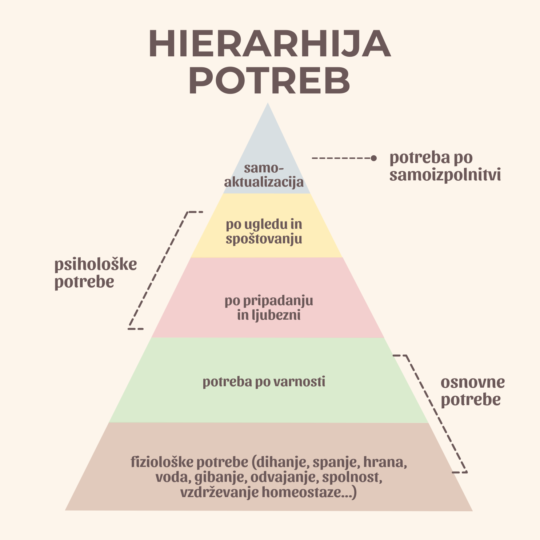 hierarhija_wp
